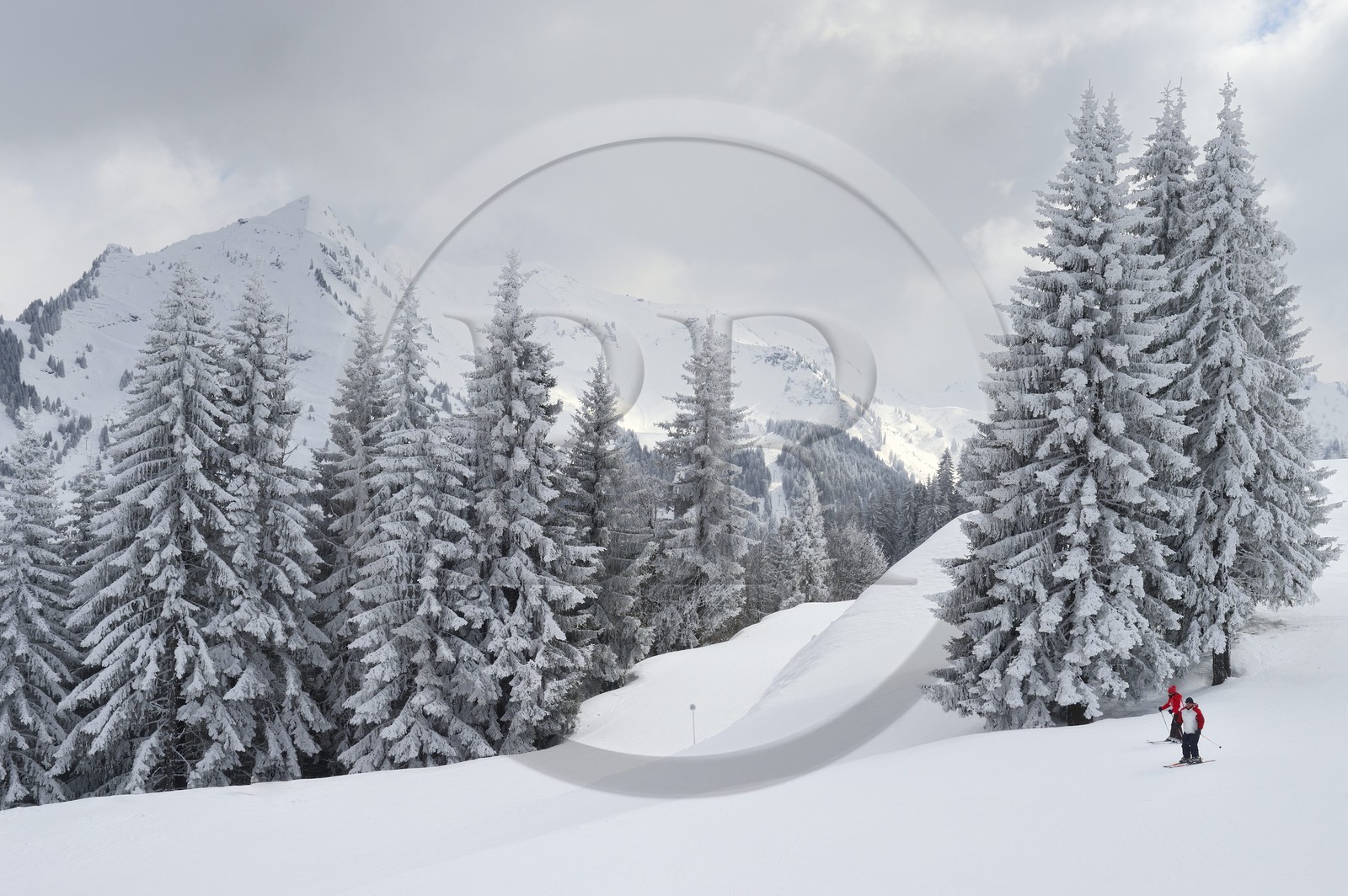 France, Haute-Savoie (74), Morzine