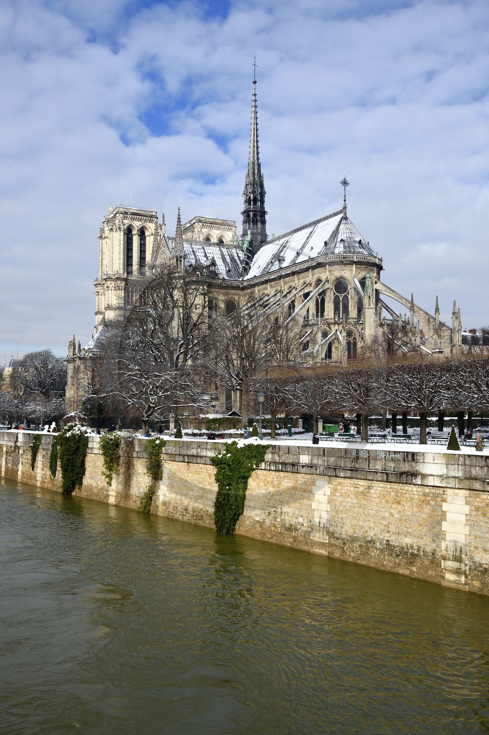 France, Paris, area listed as World Heritage by UNESCO, the banks of the Seine, classified World Heritage by UNESCO, the Seine in flood and the Notre-Dame Cathedral under the snow on the Ile de la Cité and the quai de l'Archevêché