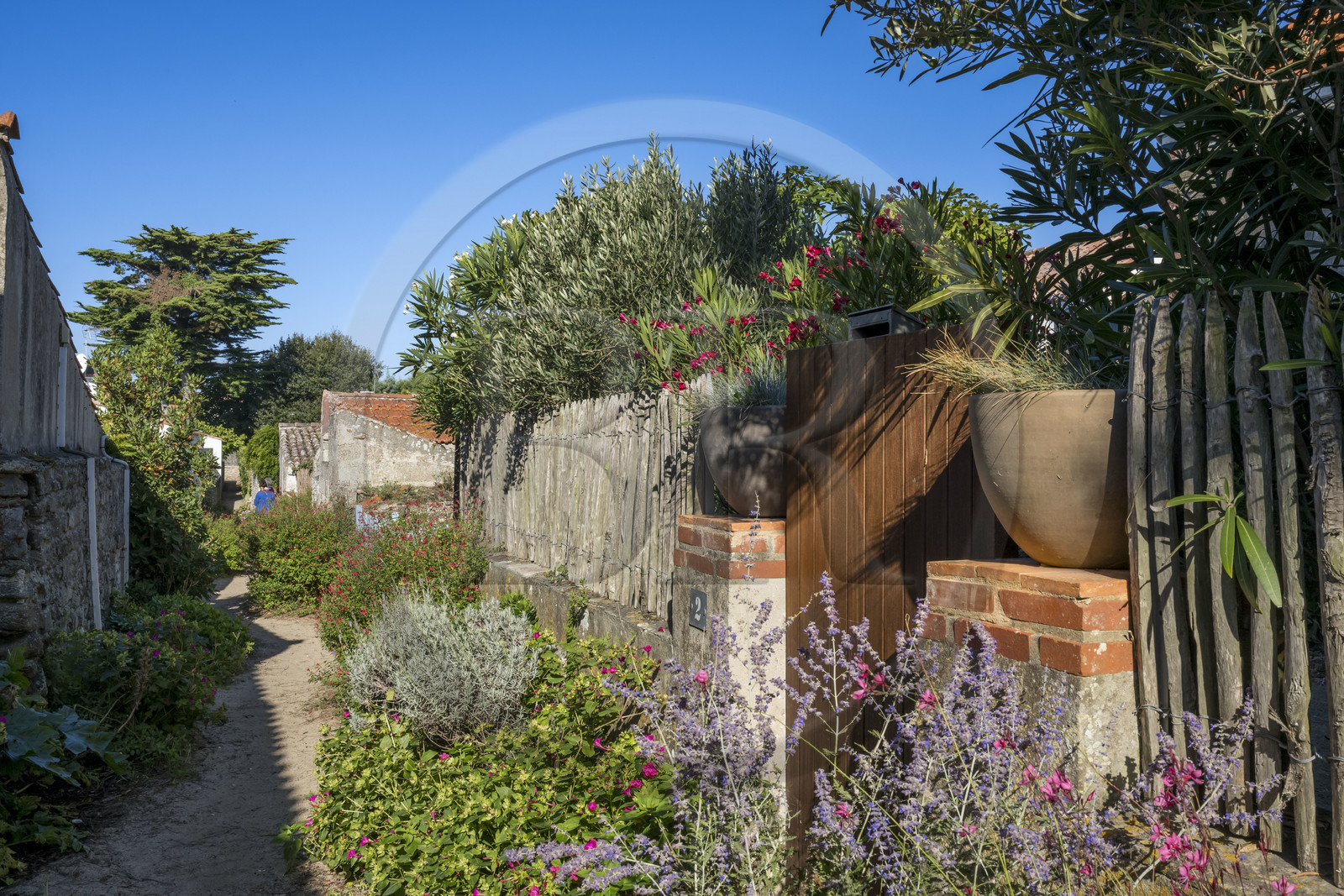 France, Vendée (85), Ile de Noirmoutier, Noirmoutier-en-l'Ile, Le Vieil, chemin d'accès aux maison du quartier de la plage du Mardi Gras