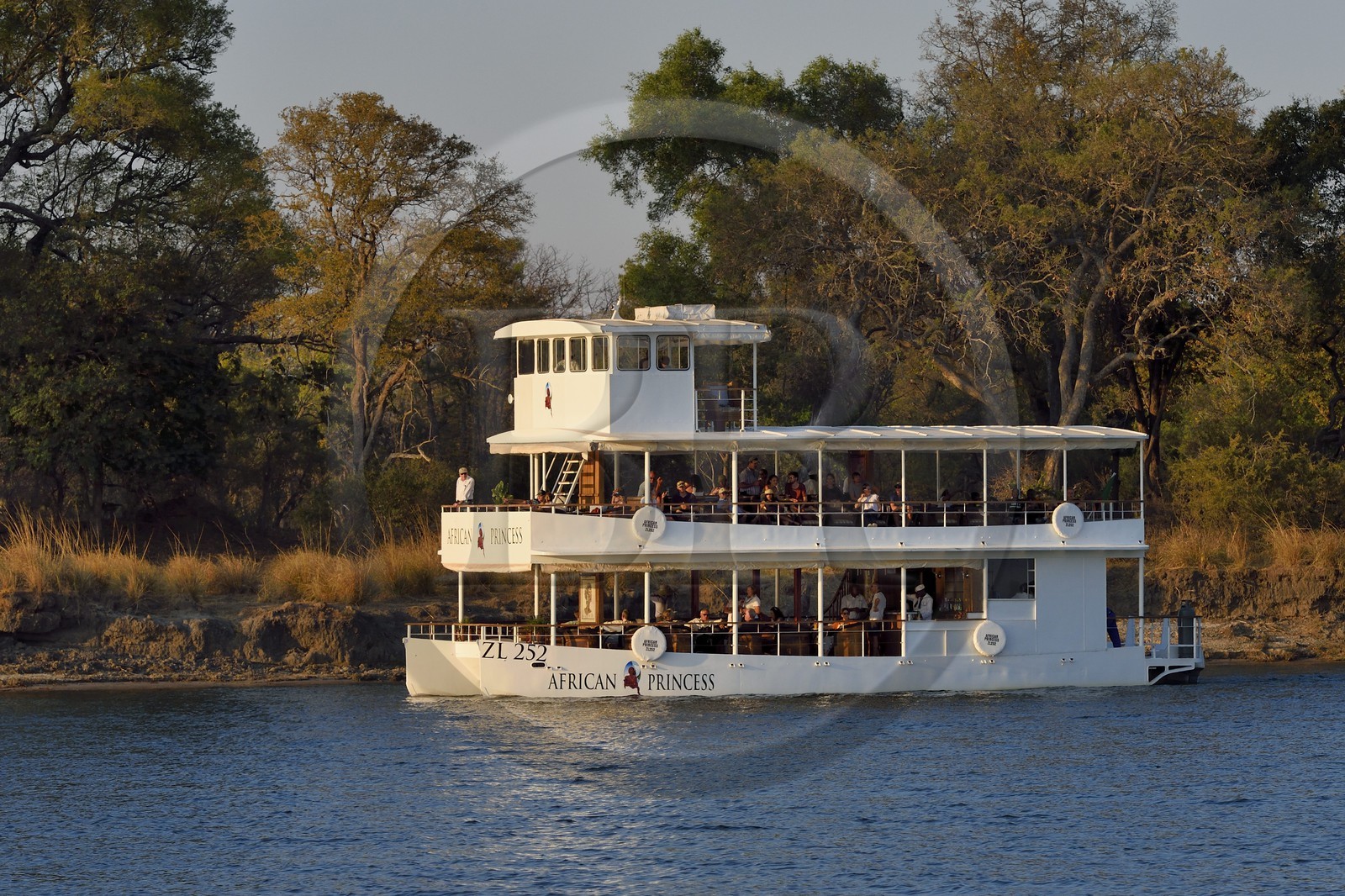 Zimbabwe, Matabeleland North Province, Victoria Falls, River Cruise on the Zambezi River upstream from Victoria Falls