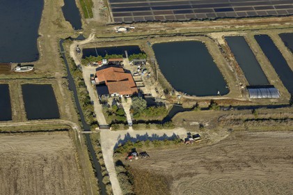 France, Charente-Maritime (17), Ile Madame, ferme ostreicole (vue aérienne)