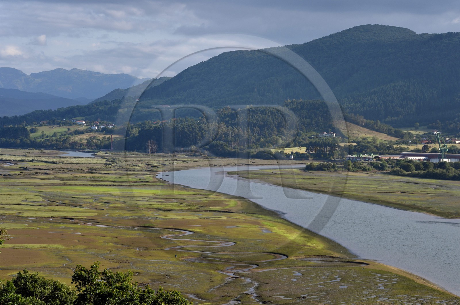 Espagne, Pays basque espagnol, Biscaye, région de Gernika-Lumo, Réserve de biosphère d'Urdaibai, estuaire du fleuve Oka à marée basse au sud de Mundaka