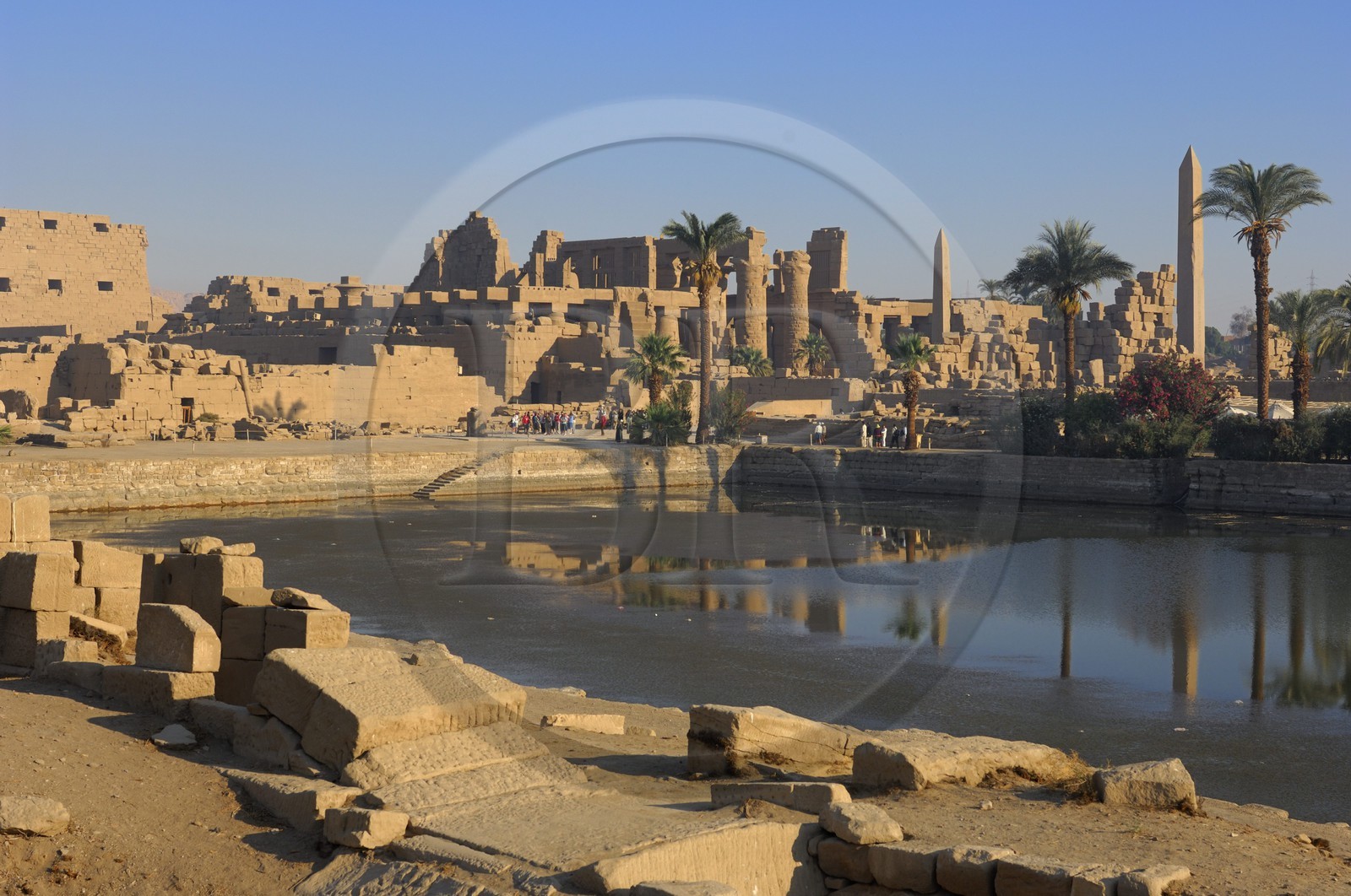 Egypte, Haute Egypte, vallée du Nil, Louxor, Karnak, classé Patrimoine Mondial de l'UNESCO, le lac sacré et les obélisques de Thoutmosis I et Hatchepsout