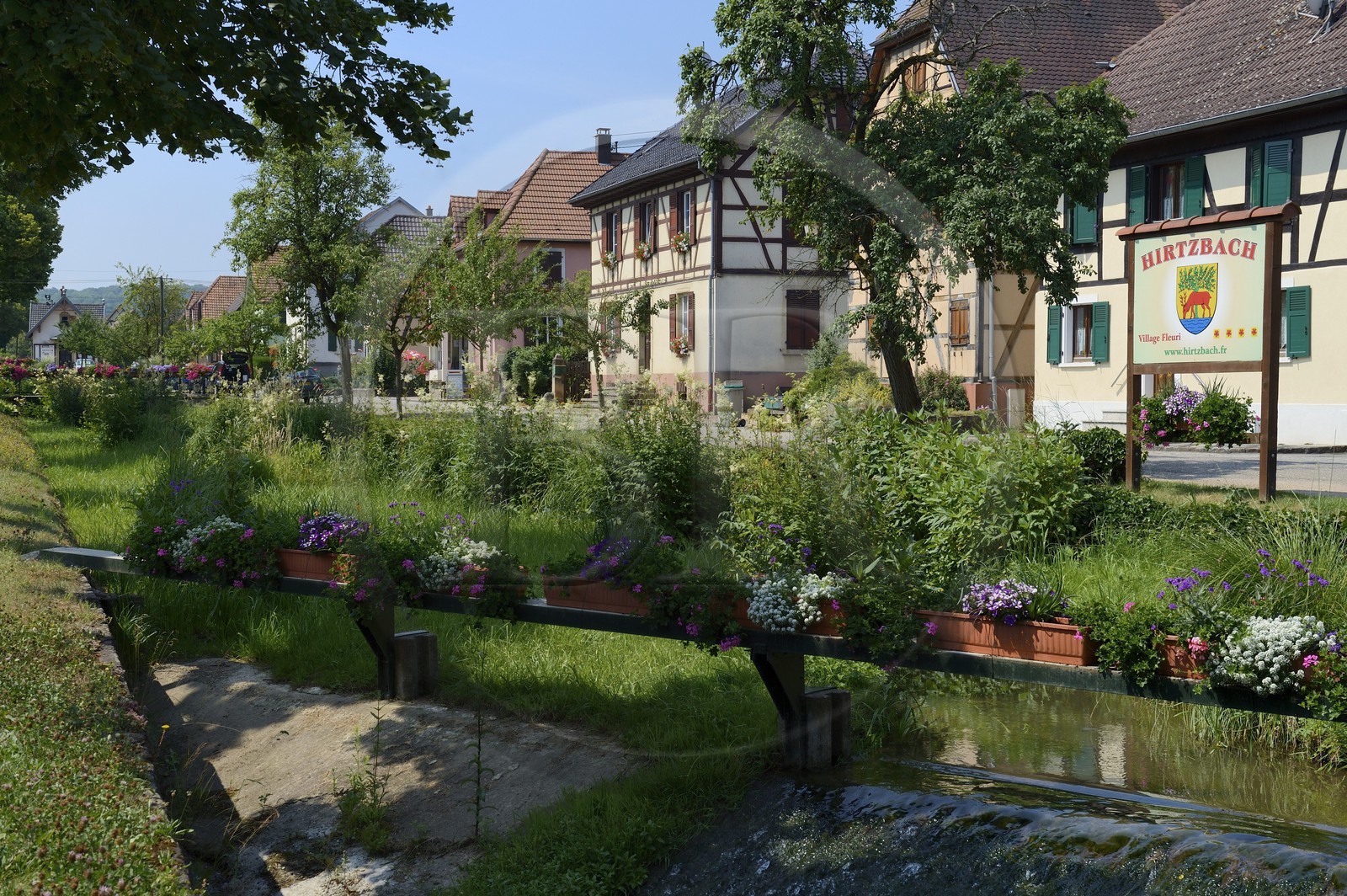 France, Haut Rhin, Sundgau, Hirtzbach, half-timbered house in the main street