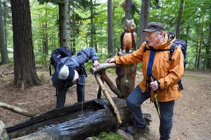 France, Haut-Rhin (68), Thannenkirch, randonnée dans le massif du Taennchel, Hubert Bihl du Club Vosgien devant une fontaine sculptées