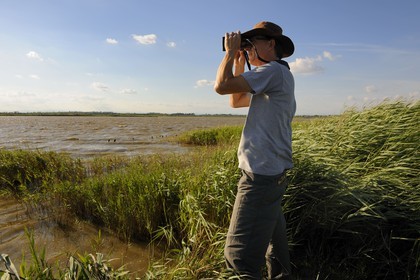 France, Hérault (34), région du Cap d'Agde, la Réserve Naturelle Nationale du Bagnas à l’ouest de l’étang de Thau, son directeur Renaud Dupuy de la Grandrive