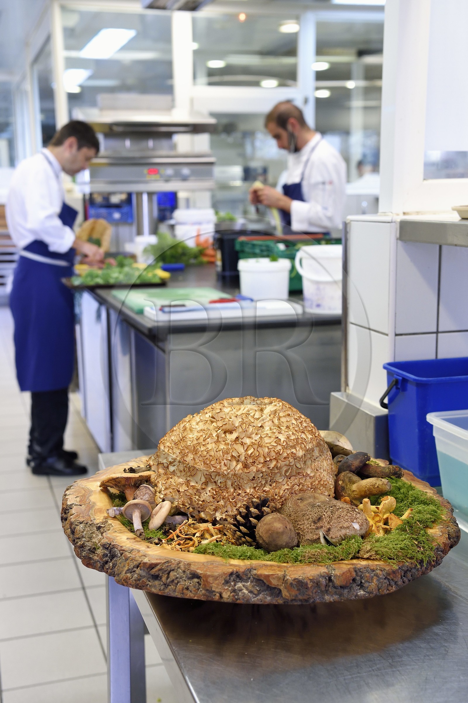 France, Haute-Loire (43), Saint-Bonnet-le-Froid, Restaurant 3 étoiles Régis et Jacques Marcon