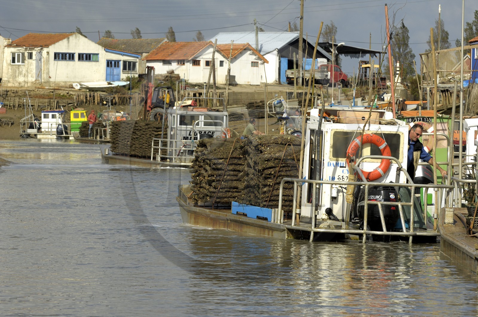 France, Charente-Maritime (17), Ile d'Oléron, le chenal d'Ors, chaland à huîtres dans le port ostréicole