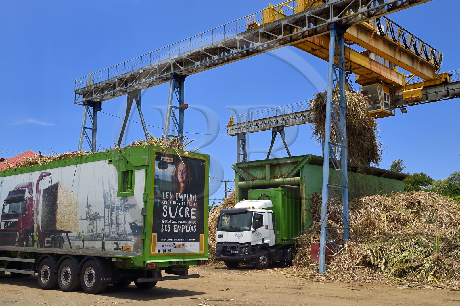 France, Reunion island (French overseas department), Saint-Joseph, one of the 11 sugar cane reception and collection centers also called Balance, the tractors bring the cane from the fields in trailers, it is then weighed and loaded in large trucks called cachalots to be transported to the sugar factory Gol