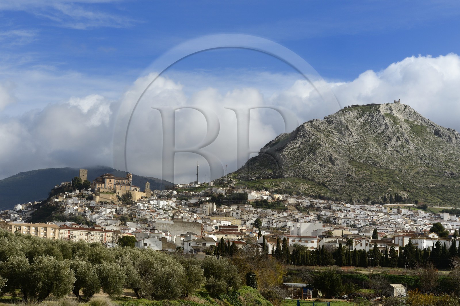 Espagne, Andalousie, province de Jaén, ville de Martos considérée comme le premier producteur d'huile d'olive du monde