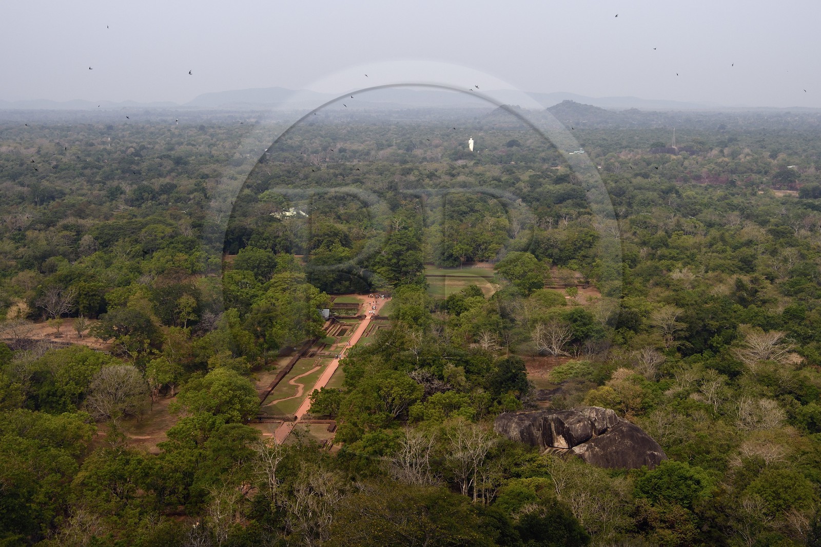 Sri Lanka, province centrale, district de Matale, Sigiriya, ville ancienne de Sigiriya classée patrimoine mondial de l'UNESCO, l'ancien palais forteresse du Rocher du Lion, vue des jardins et des environs depuis le sommet