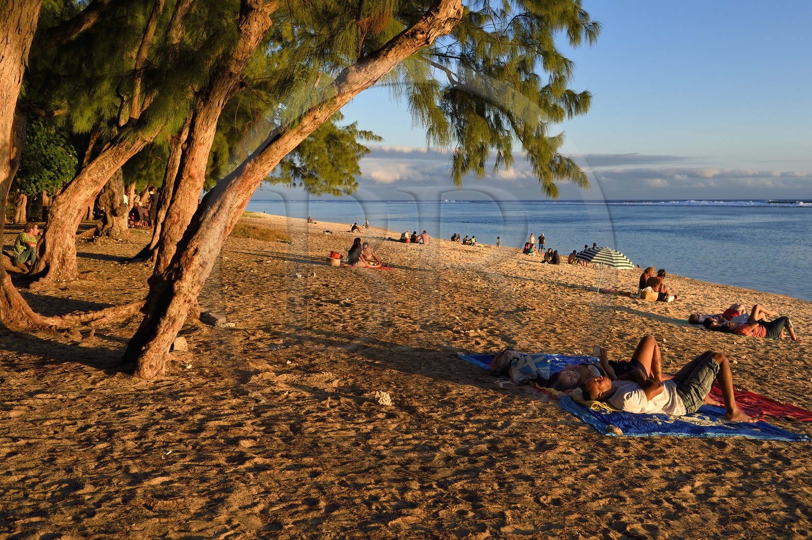 France, île de la Réunion, la Cote Ouest, plage du lagon de Saint-Gilles-Les-Bains à l'Ermitage-les-Bains, à l'ombre des filaos