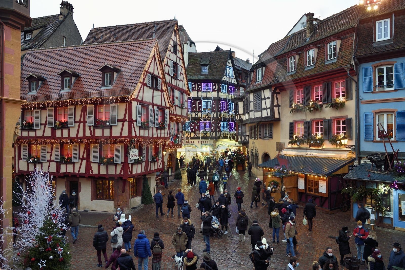 France, Haut Rhin, Colmar, wood-framed houses at the corner of rue des Marchands and Grand Rue with Christmas decorations