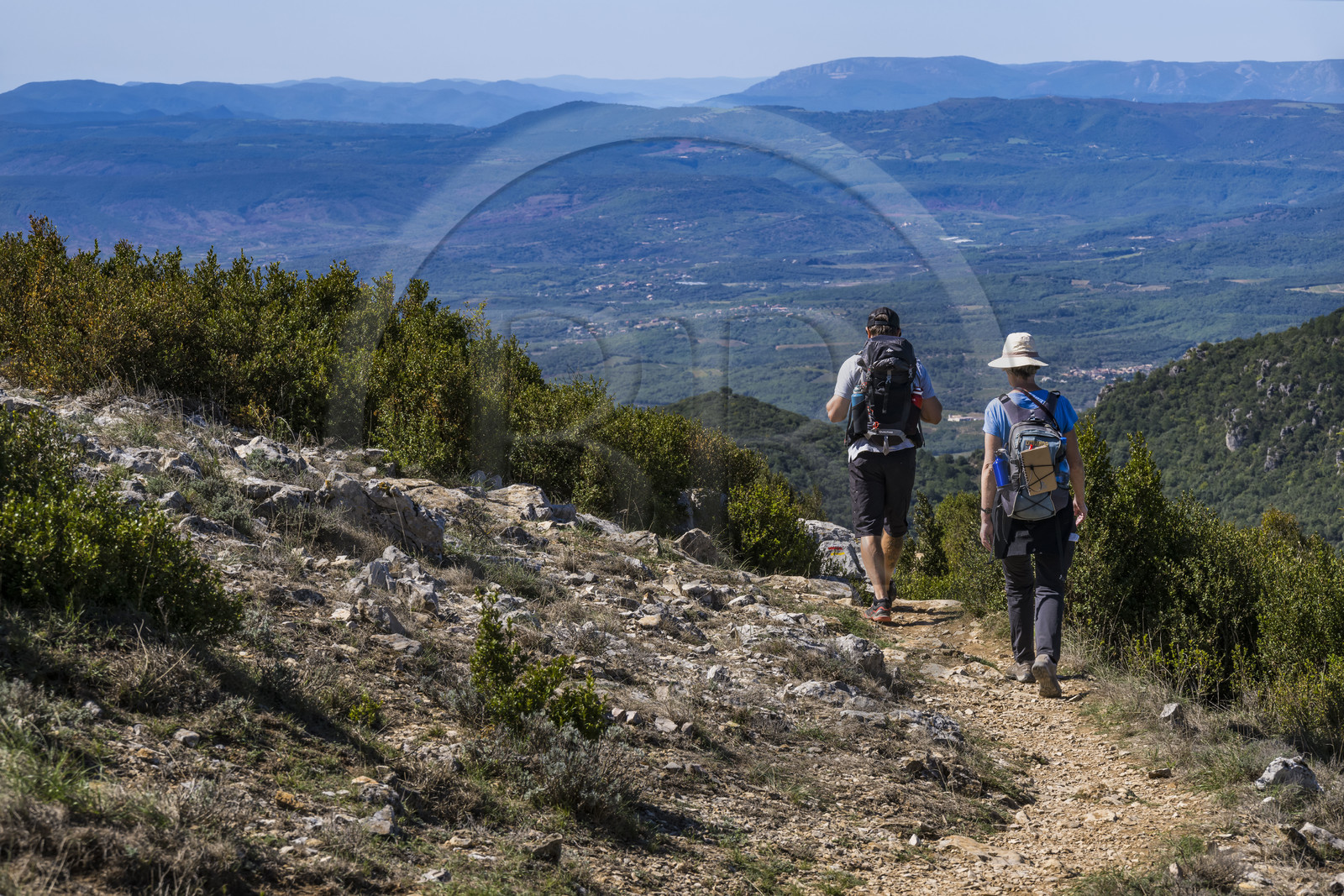France, Hérault (34), les Causses et les Cévennes, paysage culturel de l'agro-pastoralisme méditerranéen inscrit au Patrimoine Mondial de l'UNESCO, Saint-Privat, randonneurs sur le sentier GR 74 du Mont Saint Baudille en direction de Saint-Guilhem-le-Désert