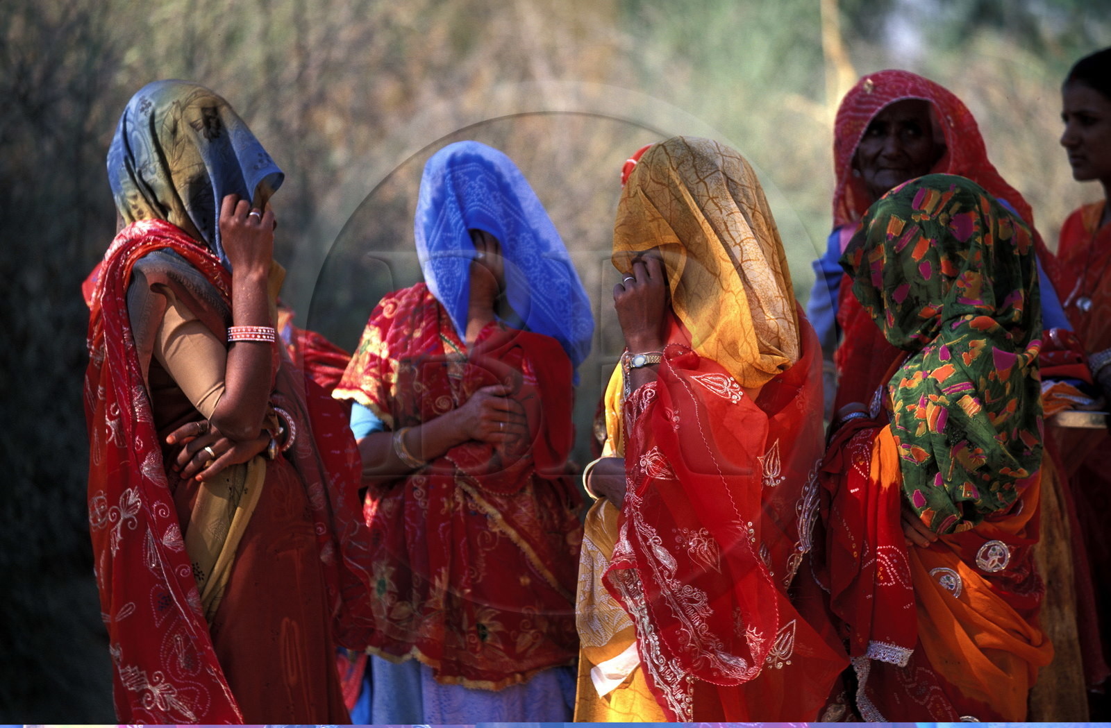 Inde, état du Rajasthan, Groupe de femmes
