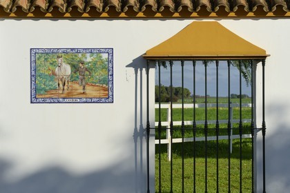 Spain, Andalusia, Seville Province, Utrera, the Ayala stud farm (Yeguada Ayala)