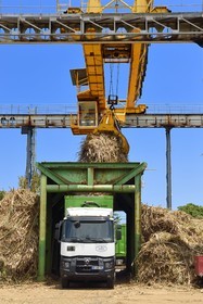 France, Ile de la Reunion, Saint-Joseph, un des 11 centres de réception et de collecte de la canne à sucre aussi appelés Balance, les tracteurs amènent depuis les champs la canne dans des remorques, elle est ensuite pesée et chargée dans de grand camions appelés cachalots pour être acheminée vers l'usine sucrière du Gol