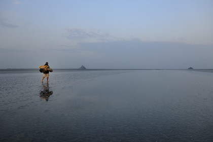 France, Manche (50), Baie du Mont-Saint-Michel, le pêcheur de grêve Guy Jugan allant relever ses filets de crevettes grises
