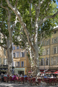 France, Bouches-du-Rhône (13), Aix en Provence, terrasse de café place Richelme
