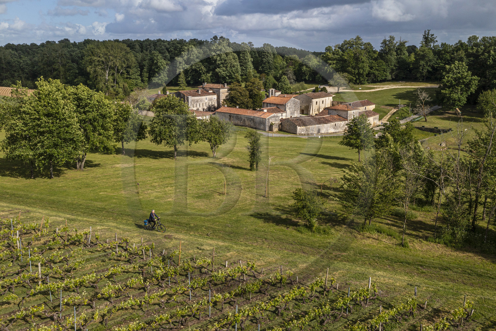 France, Charente-Maritime, Saint-Bris-des-Bois, Fontdouce abbey, former Benedictine abbey founded in 1111 and cyclist in the vineyards doing the La Flow Vélo cycle route (aerial view)