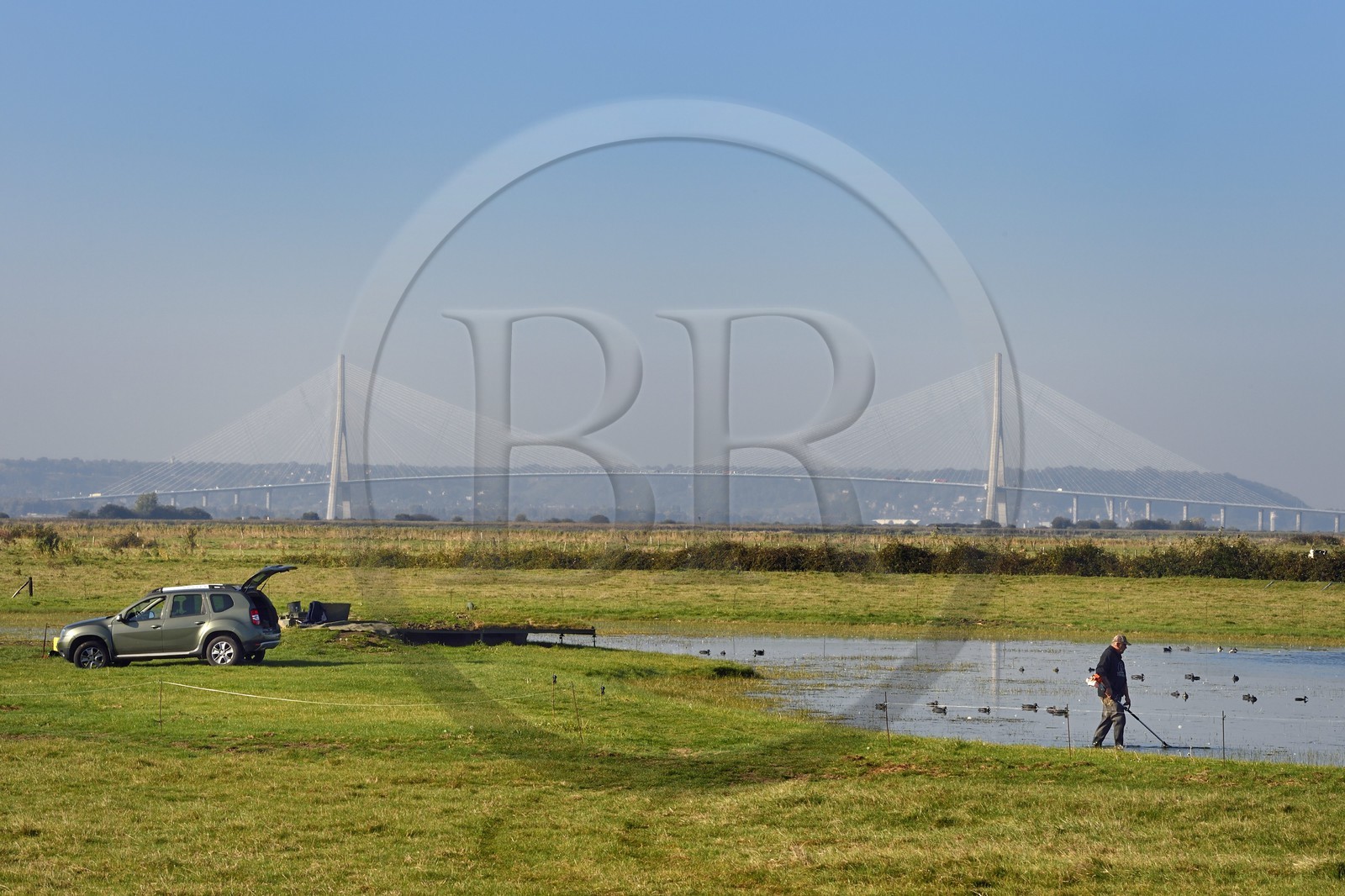 France, Seine-Maritime (76), Réserve Naturelle de l'estuaire de la Seine, entretien d'un gabion qui est un abri de chasse au gibier d'eau et pont de Normandie en arrière plan