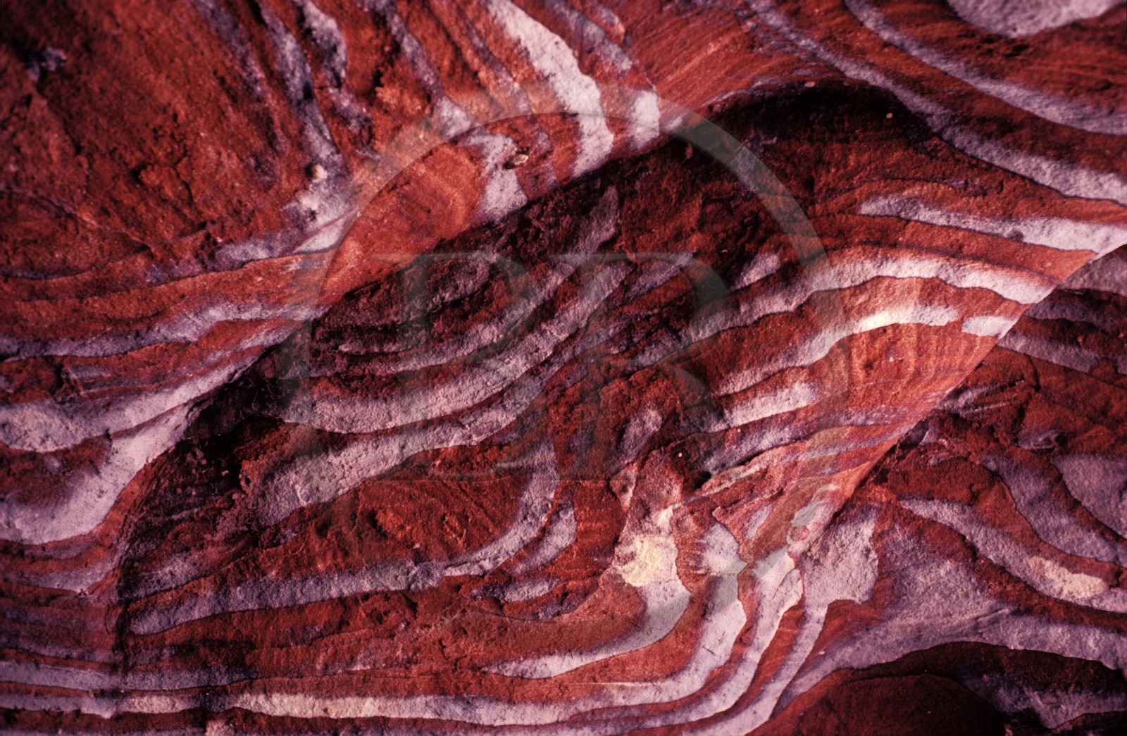 Jordanie, Petra, Roche de grés Rose