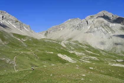 France, Alpes de Haute Provence, Uvernet Fours, Mercantour National Park, Ubaye valley, Cayolle pass (2326 m), hiking trail that climbs through the alpine lawn on the lake tour under the mountain top of the Eagle Hole