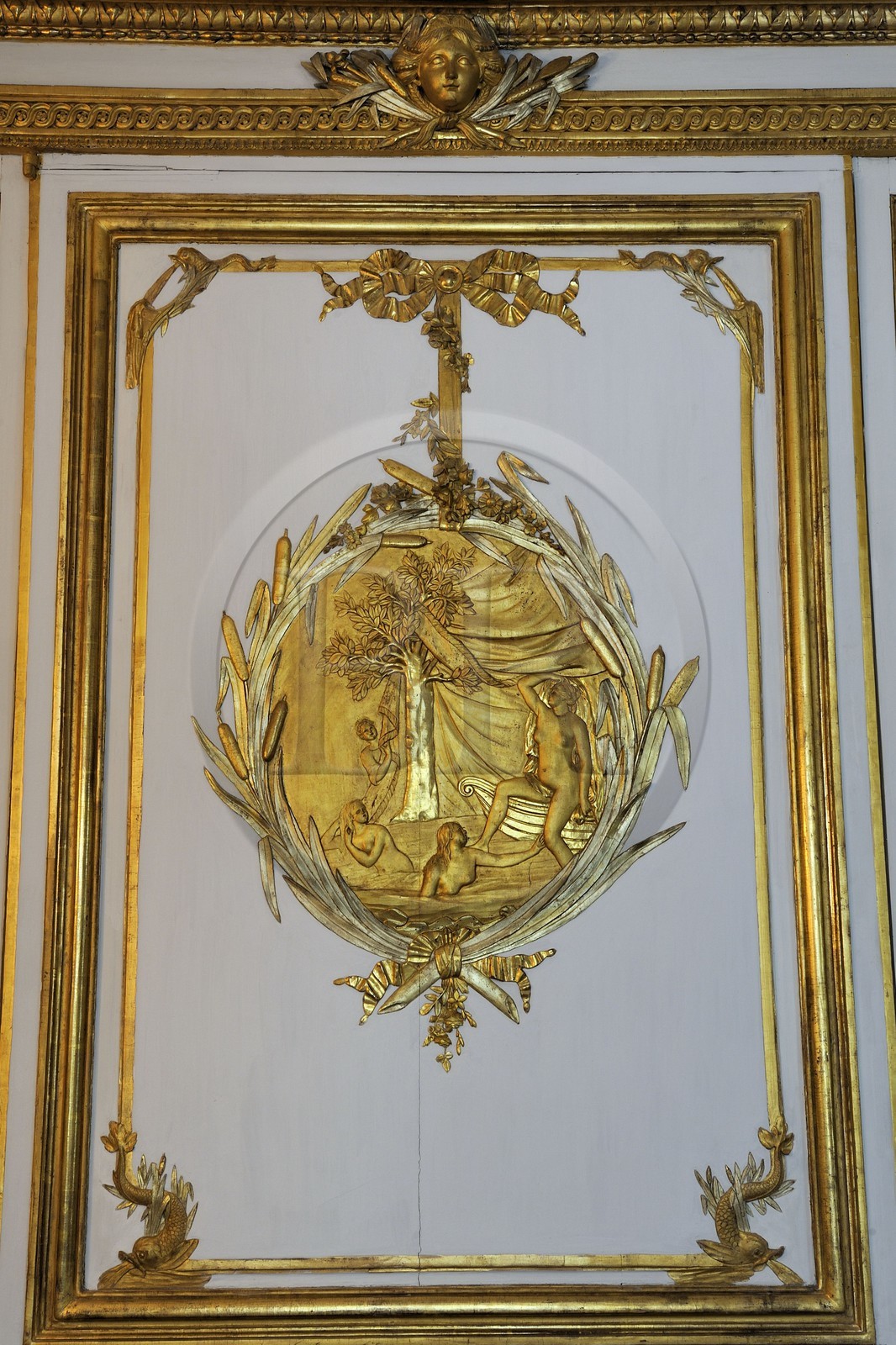 France, Yvelines, Chateau de Versailles, listed as World Heritage by UNESCO, the King's Private Apartment, Cabinet de la cassette, old bathroom, detail of the golden panelings with aquatic themes