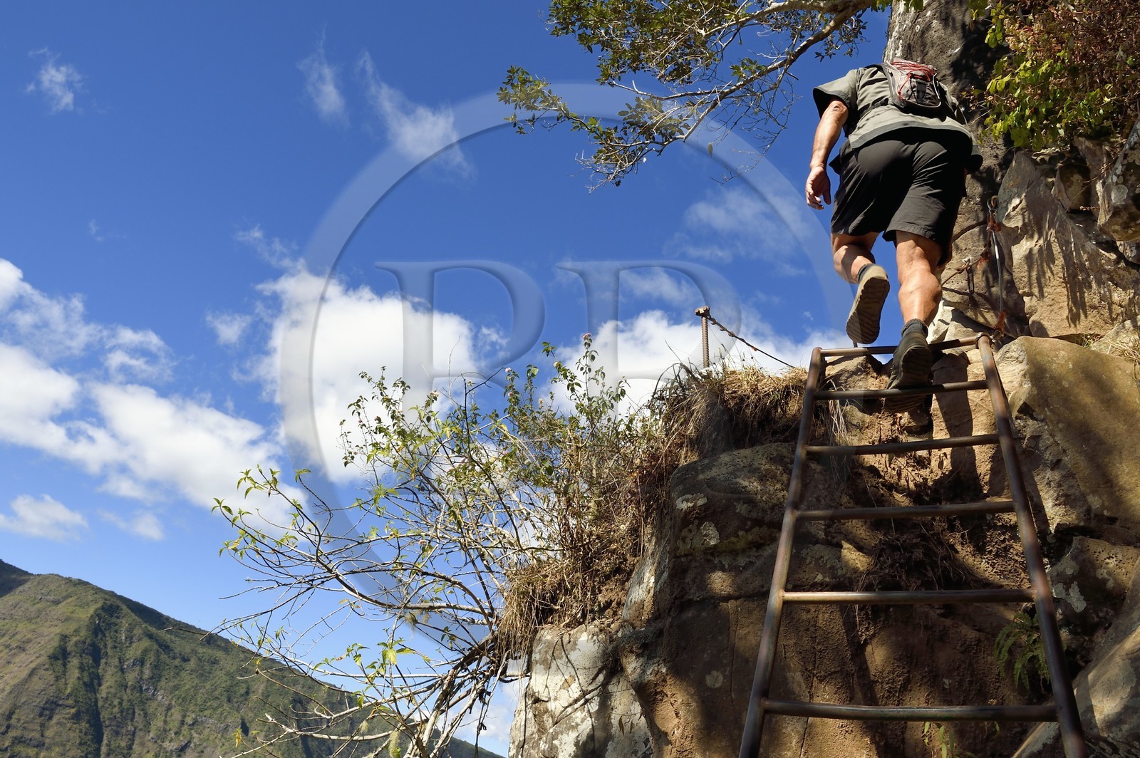 France, Ile de la Reunion, Parc National de la Réunion classé Patrimoine Mondial de l'UNESCO, La Possession, vers le village de Dos d'Ane, randonnée de la Roche Bouteille, randonneur sur une échelle du sentier Cap Noir dans le Cirque de Mafate