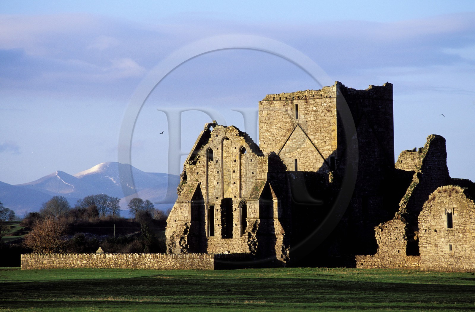 Republic of Ireland, Tipperary county, Hore Abbey in Cashel