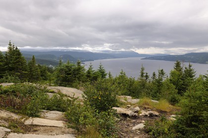 Canada, Newfoundland and Labrador Province, Newfoundland Island, mouth of the Humber River in Corner Brook