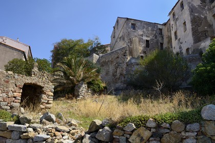 France, Haute-Corse (2B), Calvi, la citadelle, ruines supposées de la maison natale de Christophe Colomb