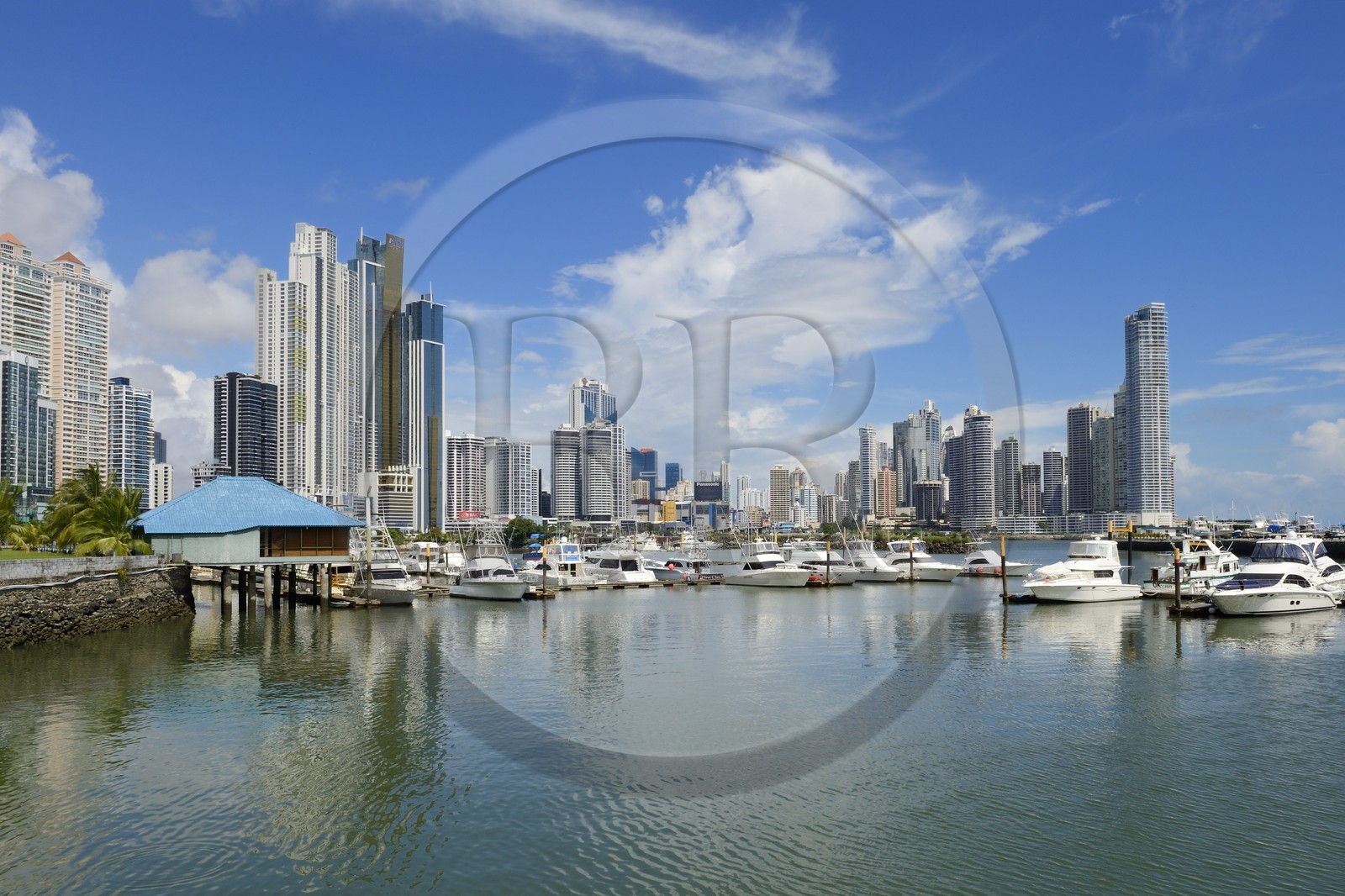 Panama, Panama City, marina du yacht club et les gratte-ciels du front de mer
