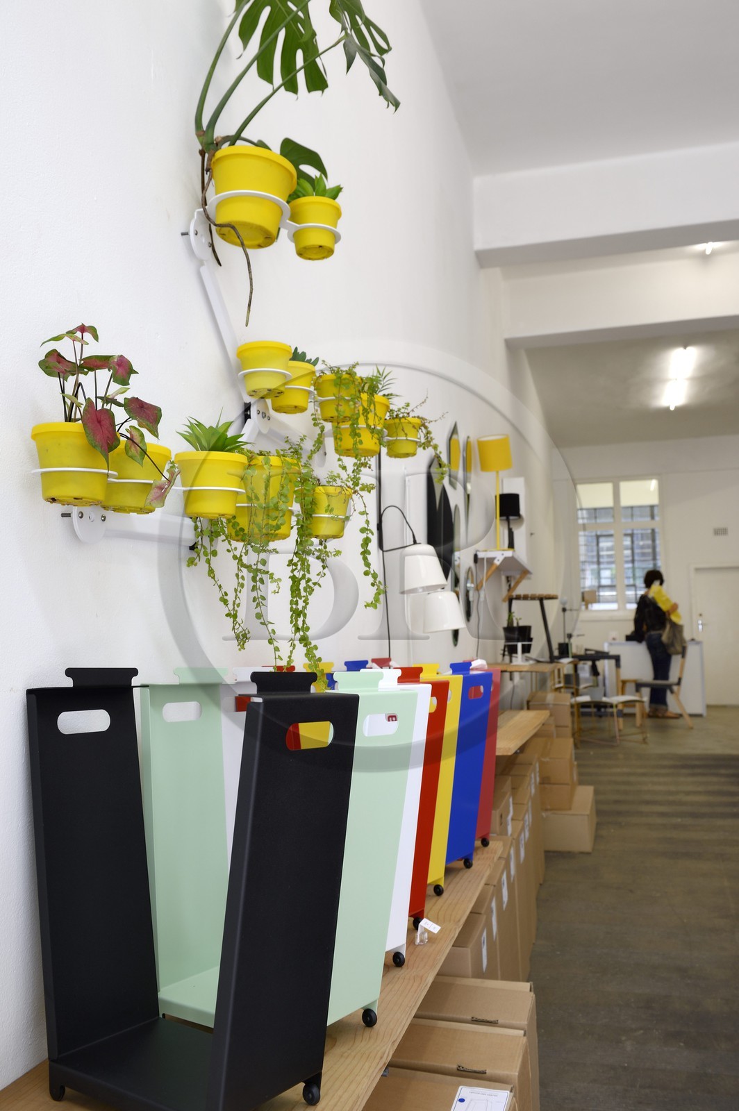 South Africa, Gauteng Province, Johannesburg, Braamfontein district, Juta street, Dokter and misses design shop