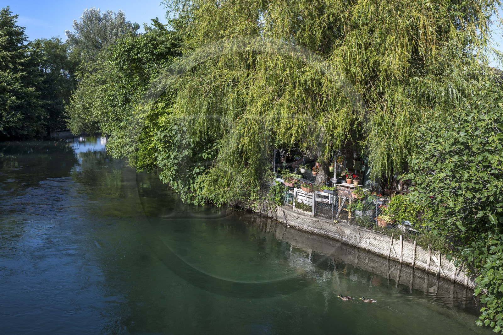 France, Vaucluse (84), Le Thor, jardin bordant les rives de la Sorgue