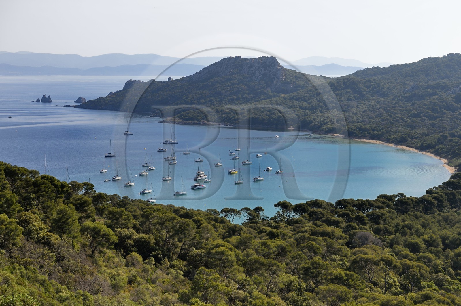 France, Var (83), Iles d'Hyères, parc national de Port Cros, Ile de Porquerolles, la Baie de l'Alycastre et le Cap des Mèdes en arrière-plan