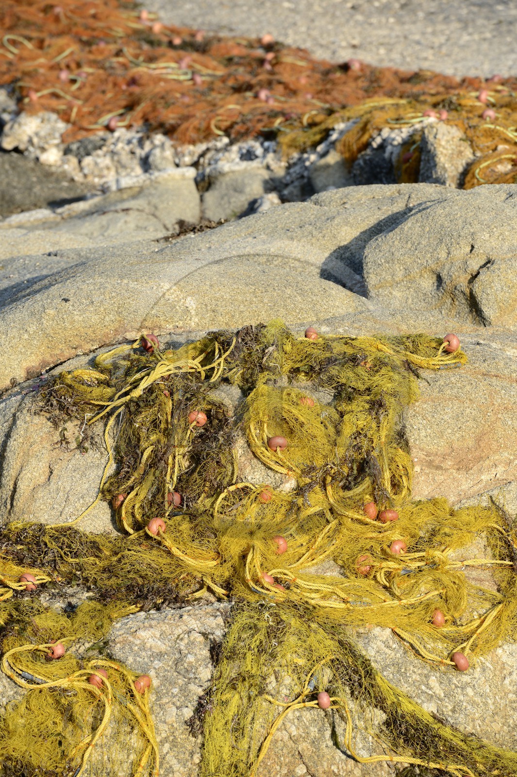 Grèce, Les Cyclades, mer Égée, île de Mykonos, village de Platis Gialos, filet de pêche