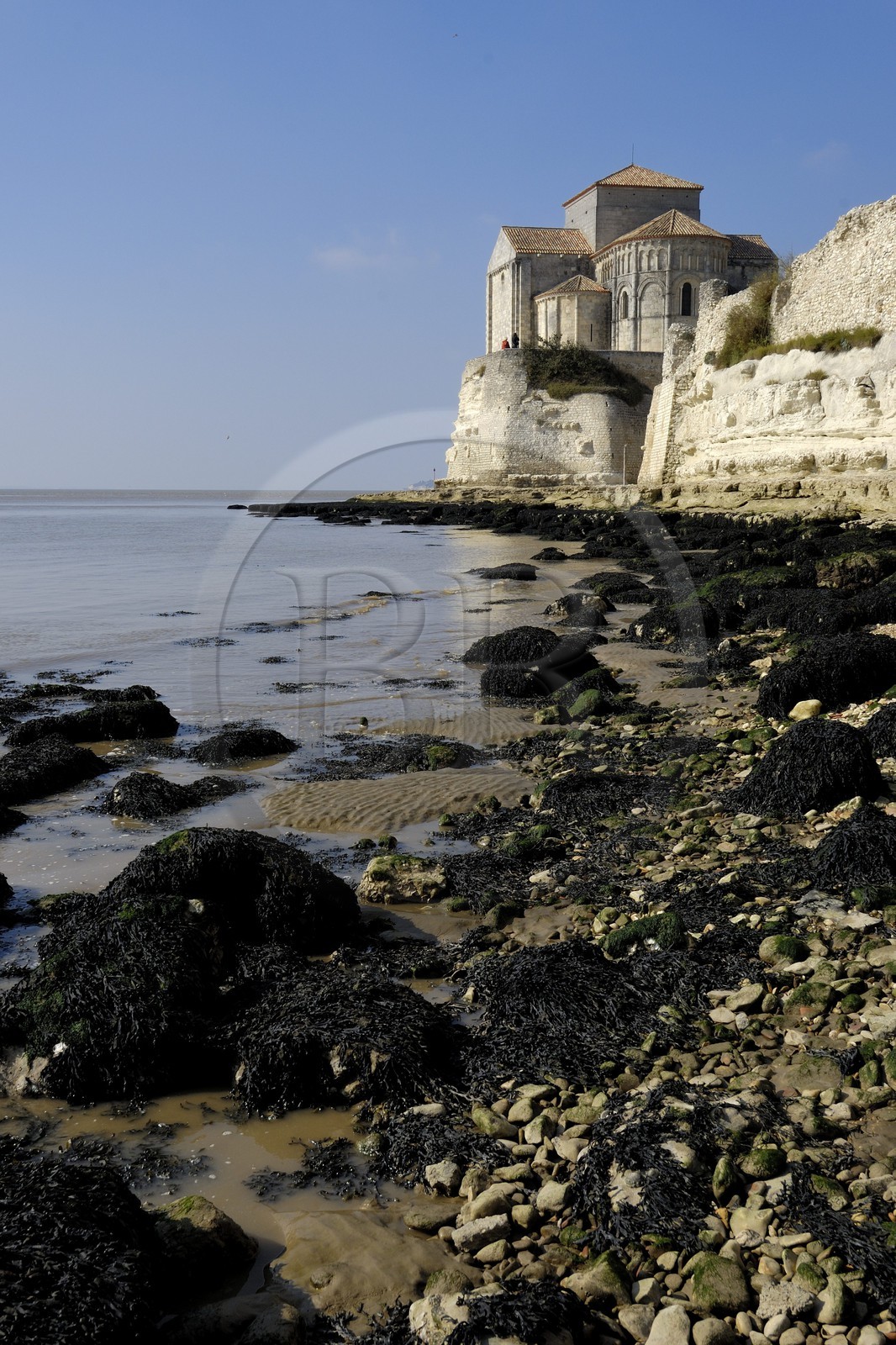 France, Charente-Maritime (17), Talmont-sur-Gironde, labelisé Les plus beaux Village de France, église Sainte-Radegonde
