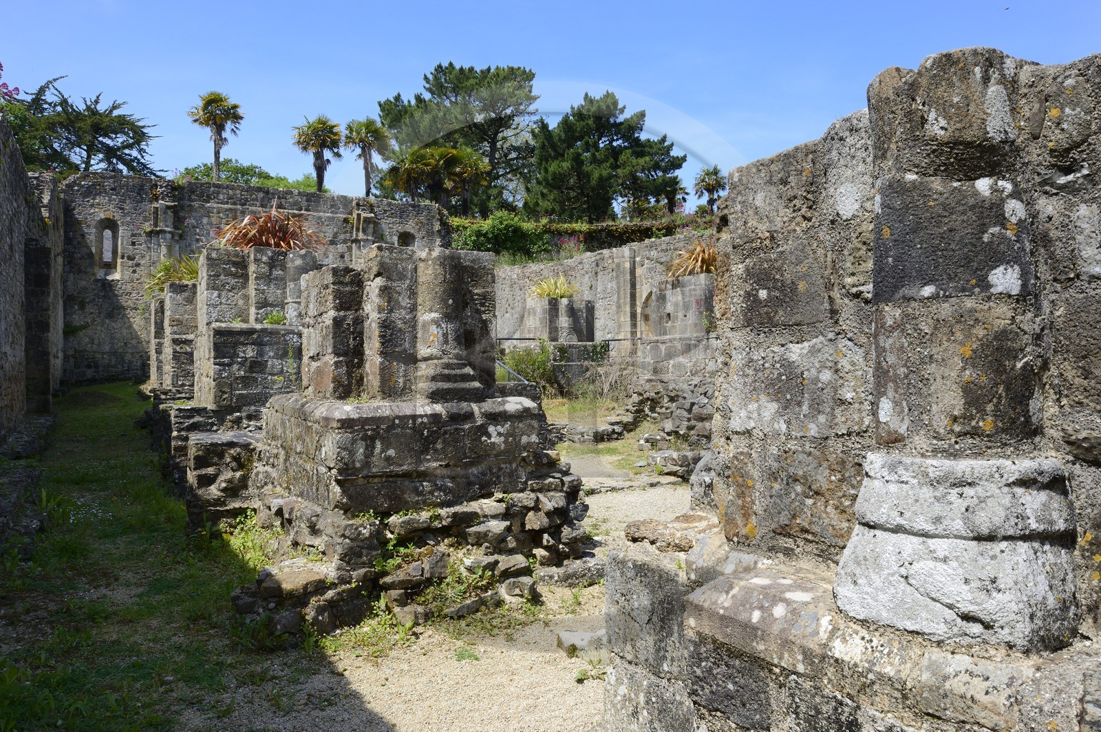 France, Finistere, Iroise Sea, Parc Naturel Regional d'Armorique (Armorica Regional Natural Park), Presqu'ile de Crozon, former abbey of Landevennec ruins