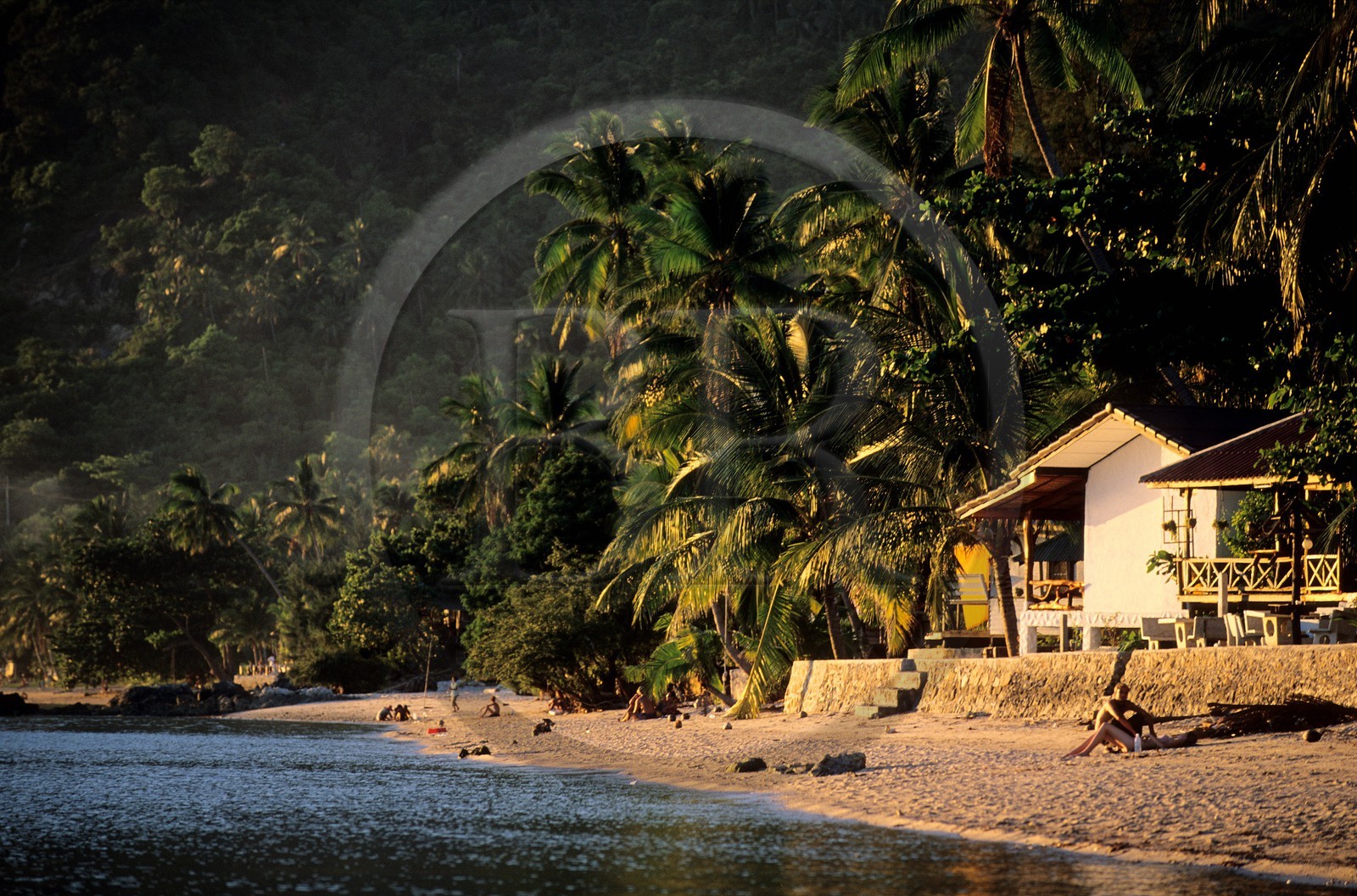 Thaïlande, Archipel îles Samui, île de Koh Pha-Ngan, bungalows sur une des plages de l' île