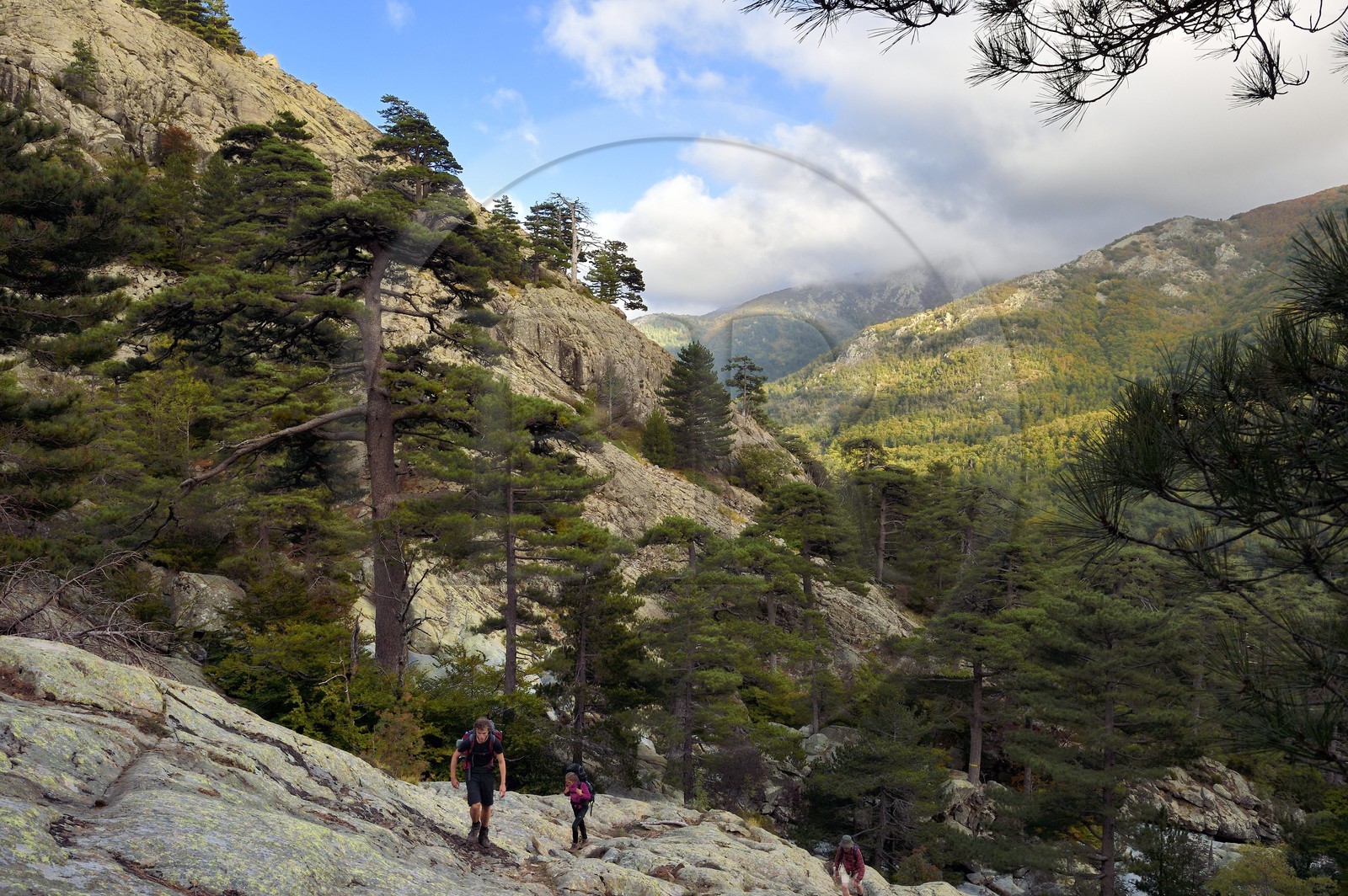 France, Haute-Corse (2B), Vivario, GR 20, étape entre le refuge de l'Onda et Vizzavona, foret de Vizzavona, les cascades des anglais, groupe de cascades dans la vallée de l'Agnone