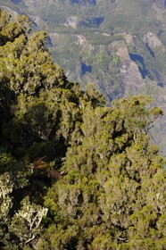 France, île de la Réunion, cirque de Salazie, classé Patrimoine Mondial de l'UNESCO