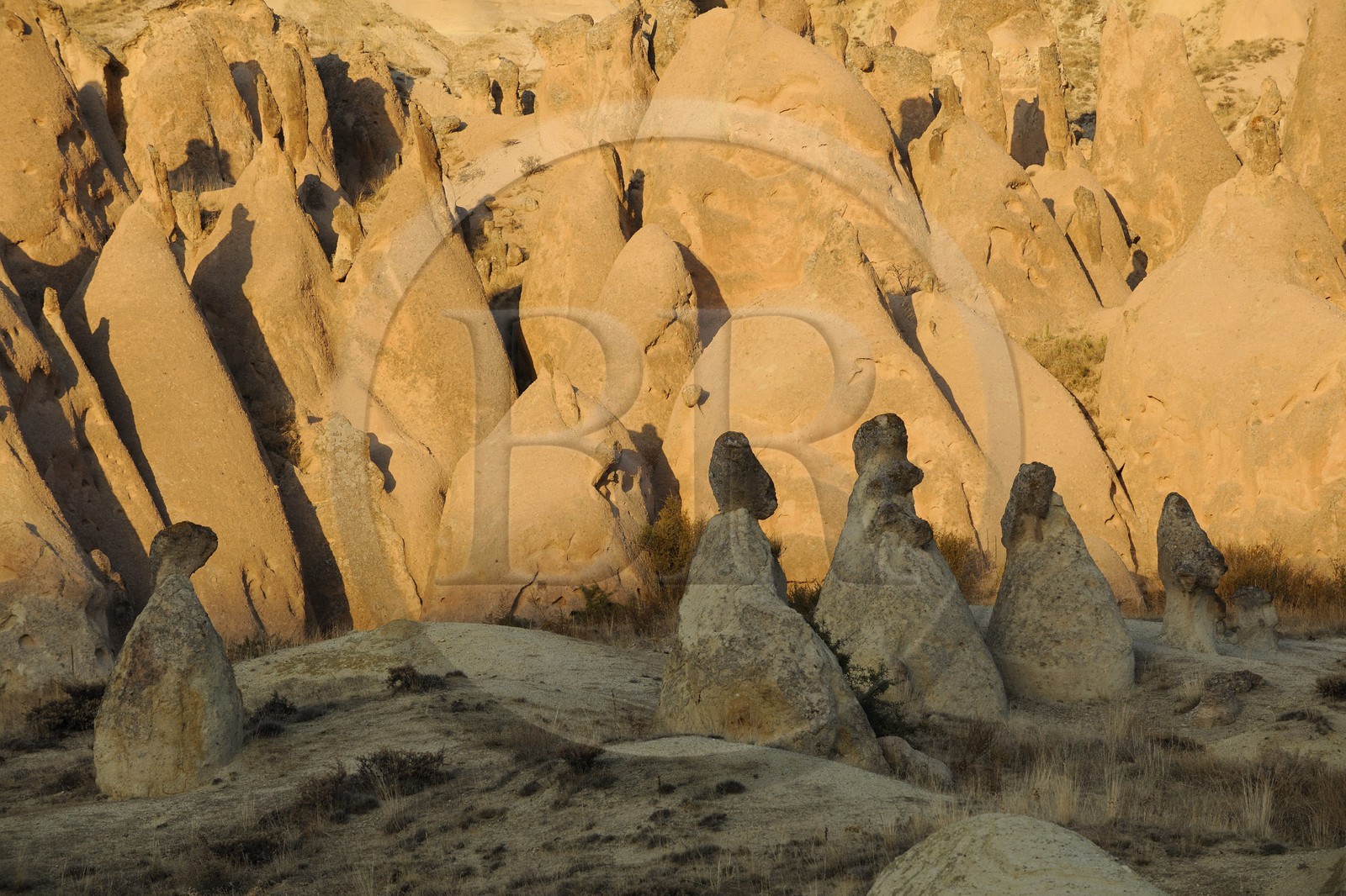 Turquie, Anatolie Centrale, province de Nevsehir, Cappadoce classée Patrimoine Mondial de l'UNESCO, paysage d'érosion et cheminées de fées entre Ürgüp et Avanos à Devrent Deresi