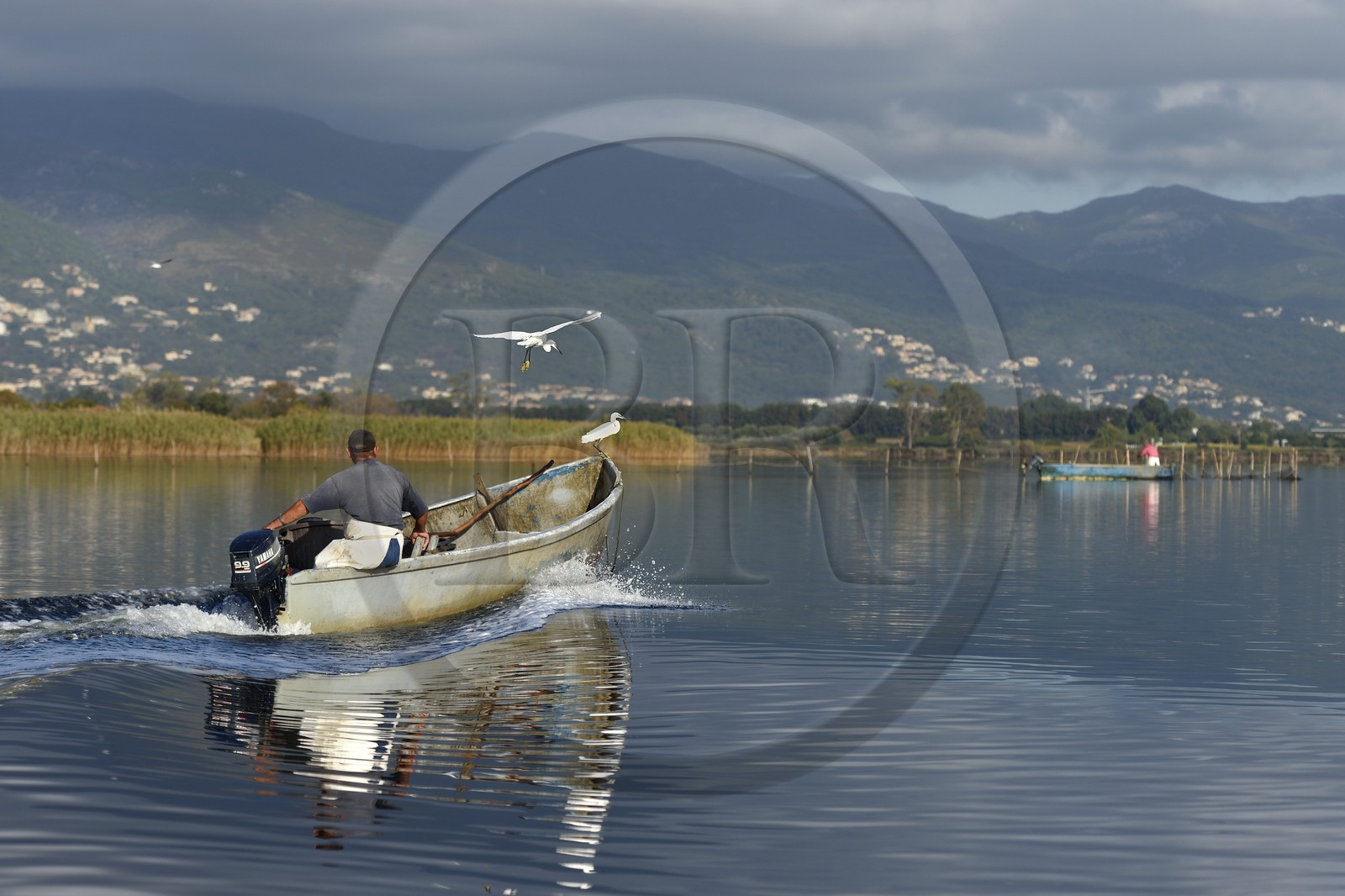 France, Haute-Corse (2B), pecheur en barque sur l'étang de Biguglia (stagnu di Chjurlinu) et Aigrette garzette (Egretta garzetta), réserve naturelle de Corse (RNC)