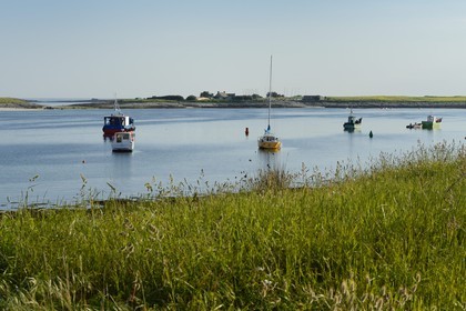 France, Finistère (29), La Foret Fouesnant, archipel des Glénan, Ile Saint-Nicolas, bateaux de pêche au mouillage et l'Ile Drénec en arrière plan