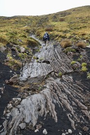 Italie, Sicile, Parc naturel régional de l’Etna, le Mont Etna, classé Patrimoine Mondial de l'UNESCO, randonneur montant sur une ancienne coulée de lave