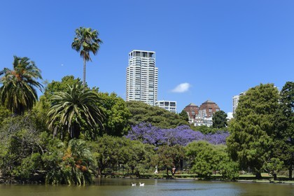 Argentine, Buenos Aires, le parc de Palermo, lac de la plaza Holanda