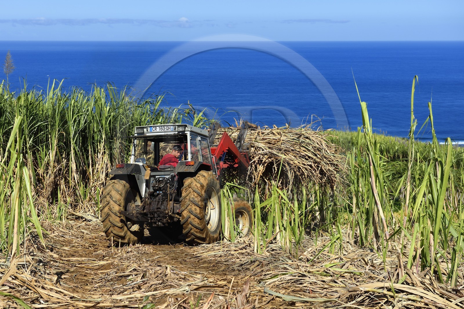 France, Ile de la Reunion, Petite-Ile,