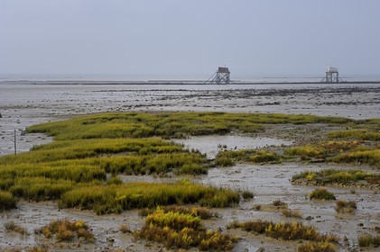France, Charente-Maritime (17), Ile Madame, carrelets sur la côte