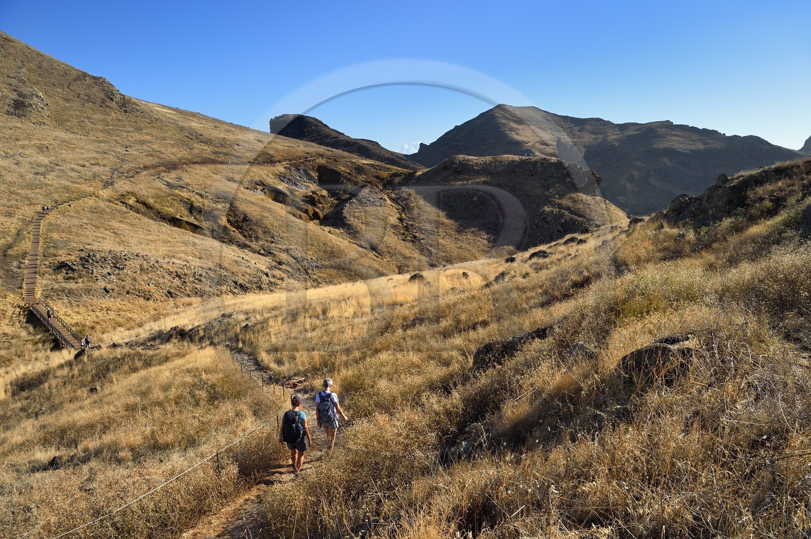 Portugal, Ile de Madère, randonnée dans la réserve naturelle de la Ponta de Sao Lourenço (pointe Saint Laurent) à l'extrême Est de l'ile